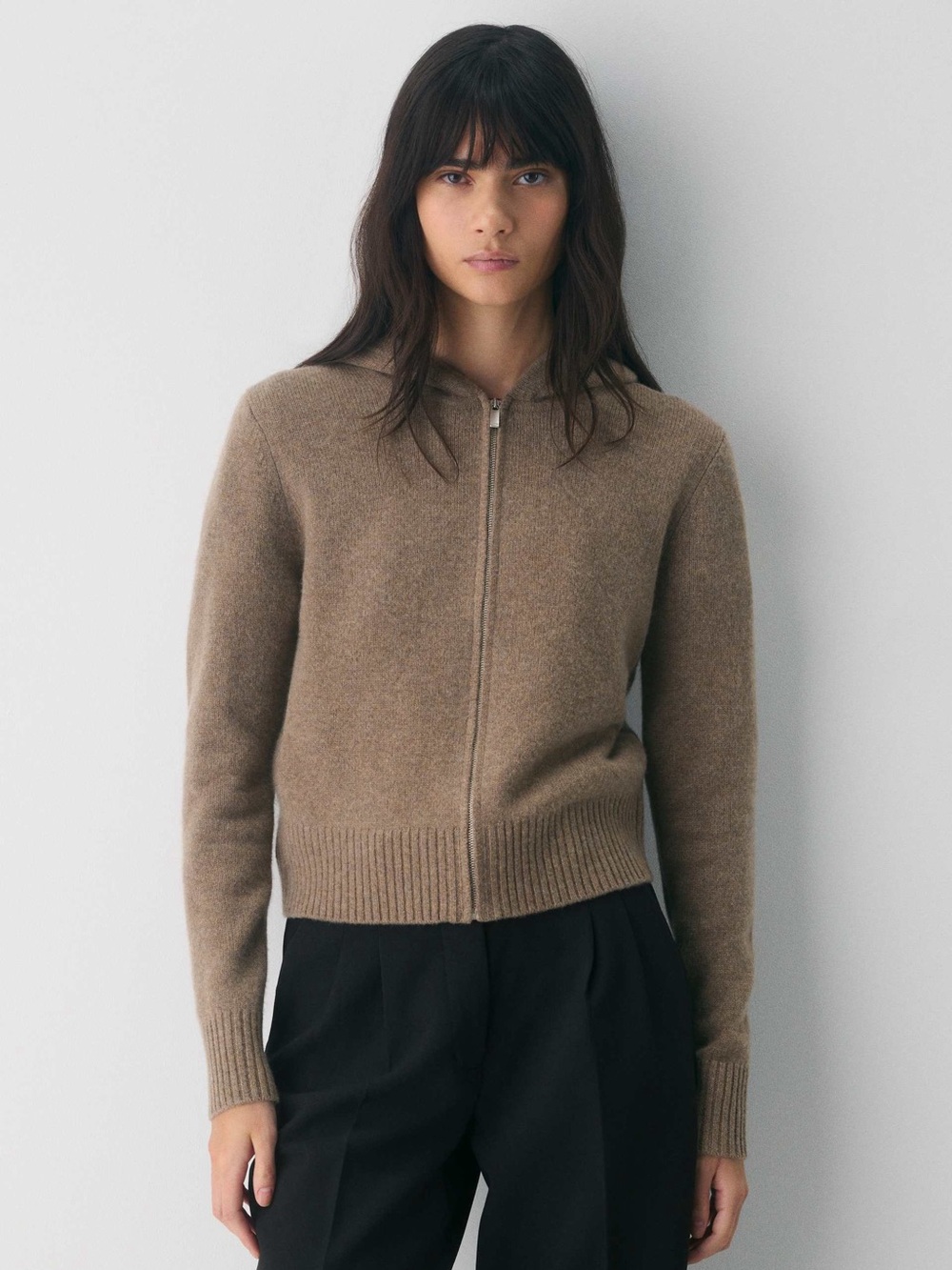 Aritzia Essential Cashmere Idyllic Zip Hoodie